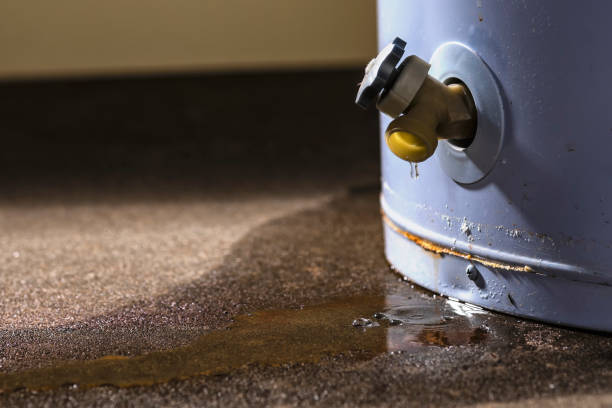 Best 24-hour water damage restoration  in South Monrovia Island, CA