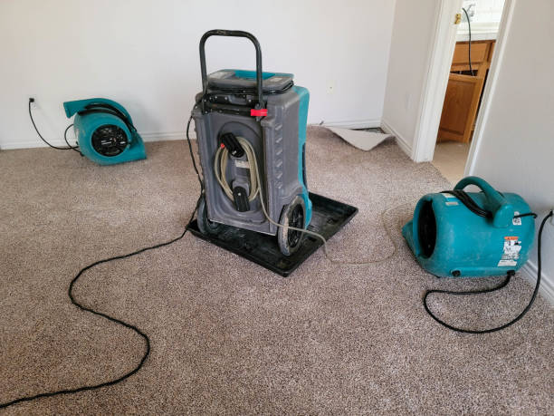 Best Commercial water damage restoration  in South Monrovia Island, CA