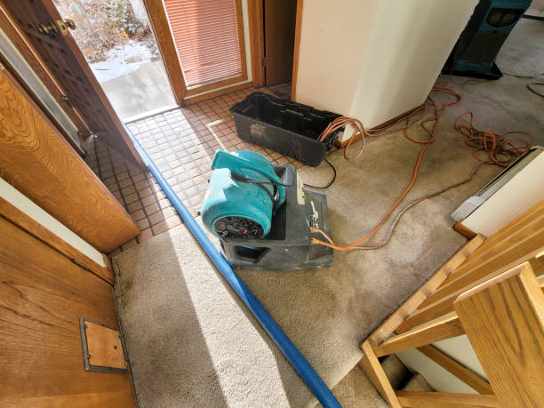 Best Water damage restoration near me  in South Monrovia Island, CA