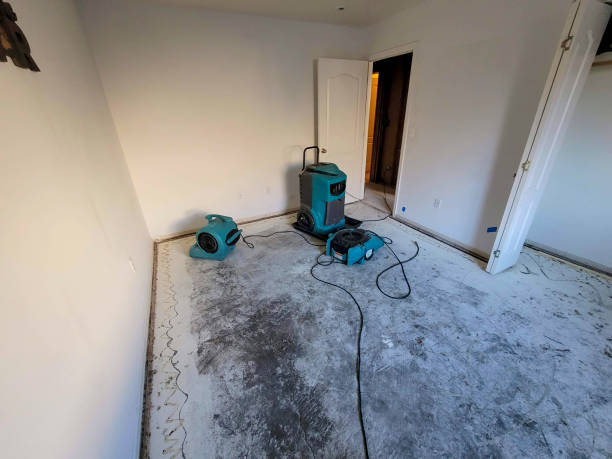 Best Ceiling water damage repair  in South Monrovia Island, CA