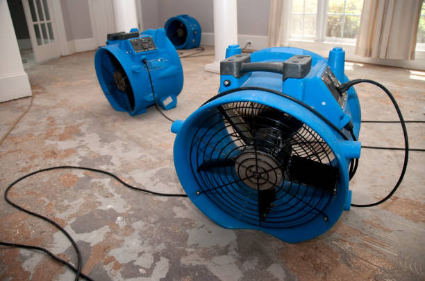 Best Water damage restoration services  in South Monrovia Island, CA