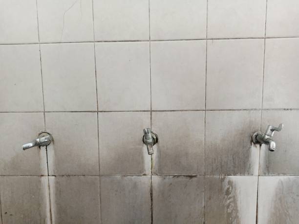 Best 24-hour water damage restoration  in South Monrovia Island, CA