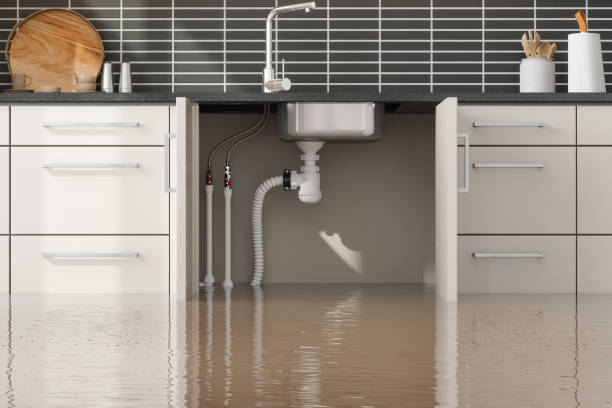 Best Flooded house restoration  in South Monrovia Island, CA