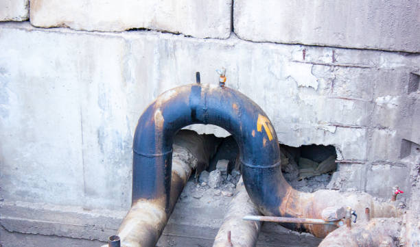 Best Professional water damage repair  in South Monrovia Island, CA