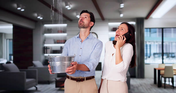 Best Flood damage cleanup  in South Monrovia Island, CA