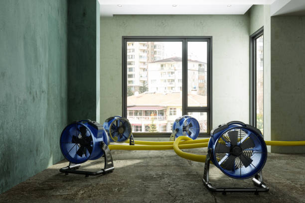 Best 24/7 water damage repair  in South Monrovia Island, CA
